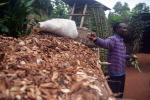 Réalisations webmarketing Morbihan